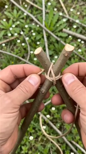 Making a Mini Ladder Model with Crossed Branches