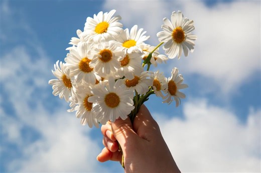 Quais são as principais características da primavera?