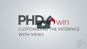 Customizing the Interface with Views