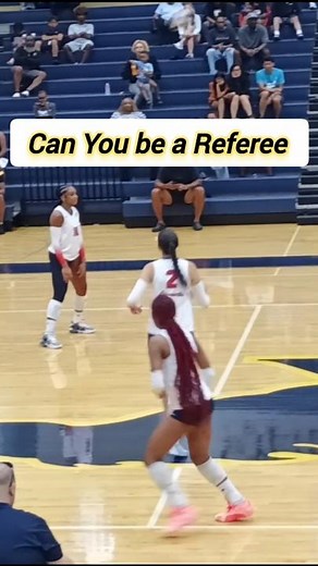 Can You Be a Volleyball Referee?