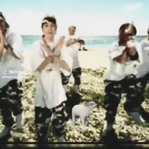 Day 200... #dogdance #dancedog #meme #sabesachocolate #kumbiakings #00s #cumbia #viernes #friday #dogsoftiktok