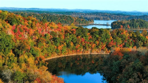 Fall's colorful 'leaf-t' off: When and where to catch the Tennessee Valley foliage show
