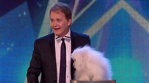 43K views · 1.8K reactions | Marc Métral and his talking dog Wendy wow the judges | Britain's Got Talent 2015 | World's Got Talent | Facebook