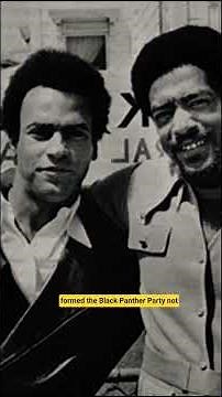 The Black Panthers They Tried to Silence…But Failed#BlackPantherParty #BlackHistory #truehistory
