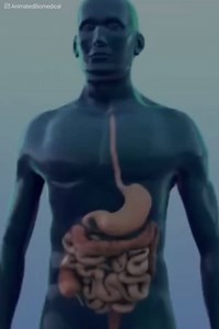 Vous souffrez de l’intestin irritable ? Faire attention à ce que vous manger est le premier pas d’une série de changements que vous devrez mettre en place. TOUT DE SUITE ! | Vitamine