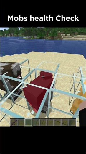 Mobs health Checking in Minecraft