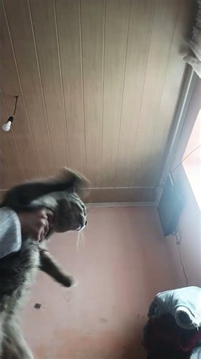 26 марта 2026 г.