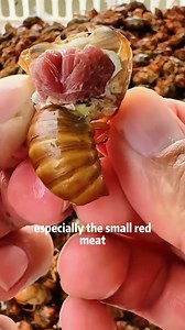 A global collection of super foods! Not luxurious,just delicious #Science #usa🇺🇸 #food | Kevin Science America