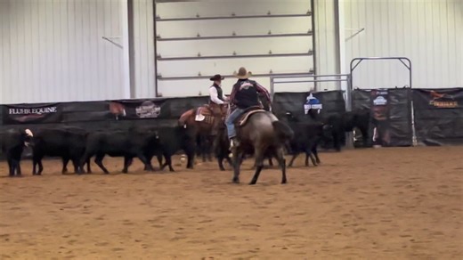 Ranch Horse Association of Kentucky show this weekend | Lakeside Arena