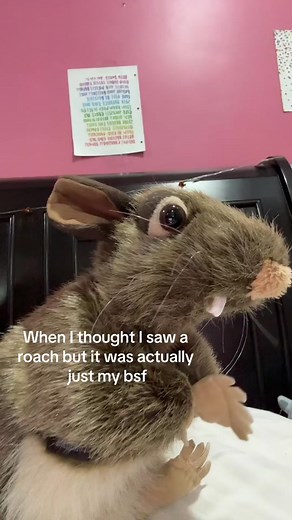 Piptheratpuppet (@piptheratpuppet)’s videos with original sound - ron.clipped