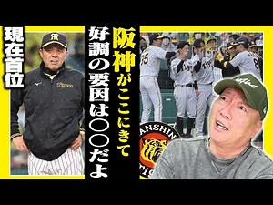 【阪神が首位へ】阪神が目覚めた要因は「間違いなく〇〇のせいだよ‼︎」高木豊が考える阪神好調の理由について