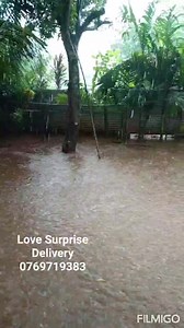 29K views · 285 reactions | Happy Customer Today ❤ An order...