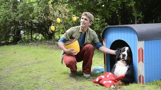 Pflanzen - Die giftgrüne Wunderalge