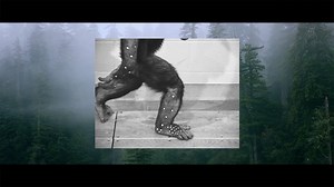 45K views · 503 reactions | Salomon RE-evolutionizes running with...