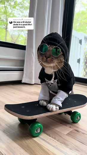 Replying to @Chel🔪 he saw this comment and asked for a skateboard