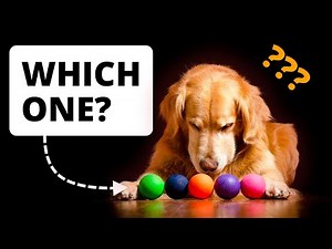 Hick's law in REAL life