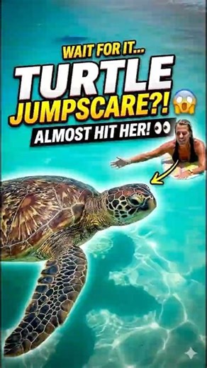 Swimming with Turtles🐢😱😳 | #viral #shorts