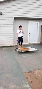 Private handler training sessions available $75 a session 45 minutes up to 2 hours. Call for more information 956-230-0724 www.k-9consultants.dog | K9 Consultants | Facebook