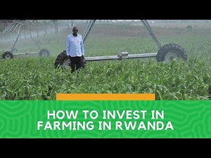 HOW TO INVEST ...LETS LOOK AT FARMING IN RWANDA
