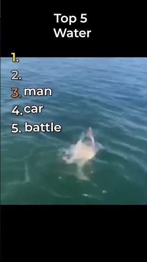 the best water clips in the world