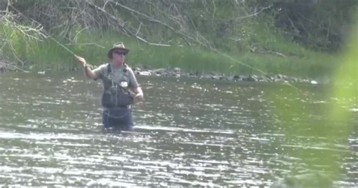 Emergency fishing restrictions adopted for Big Hole, Beaverhead and Ruby rivers