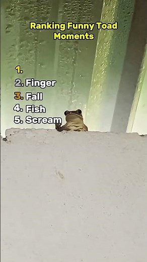 Funny Toad Moments