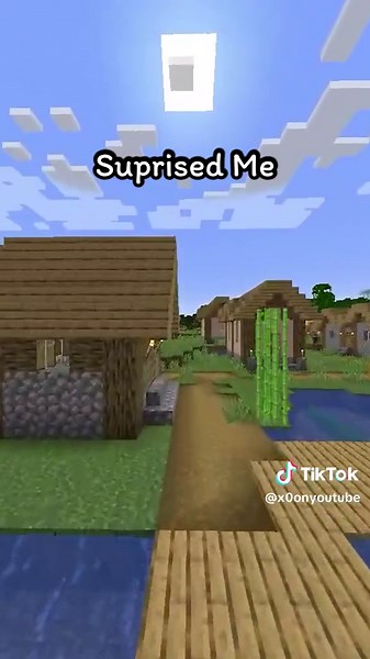 Reaching the Minecraft World Border: What to Expect