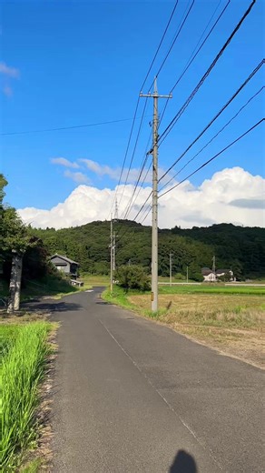 夏の日本の田舎風景を楽しむ