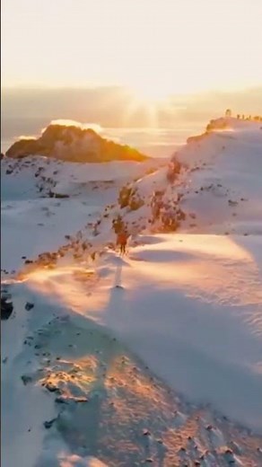 The Arctic Zone of Mount Kilimanjaro