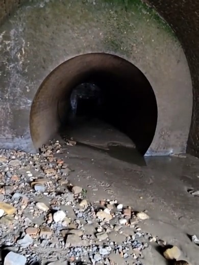 Exploring the Thames River Foreshore on February 11