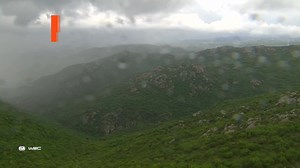 8.4K views · 847 reactions | #WRC - Relive the best moments from Saturday at the 2023 Rally Italia Sardegna  WRC - FIA World Rally Championship #RallyItaliaSardegna | FIA | Facebook