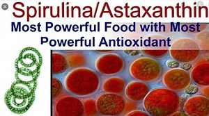 Astaxanthin vs Spirulina - Blog - Undersun Biomedtech Corp