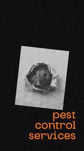 Innovative Pest Management on Instagram: "We offer the best rodent control solutions designed to help you maintain a pest-free environment. Our innovative pest rodent control service combines cutting-edge techniques. With years experience to effectively tackle rodent problems head-on. #innovativepestmanagement #pestcontrol #pestcontrolservice #fyp #foryou"