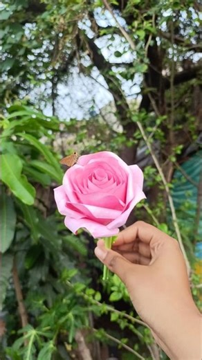 How to make a beautiful rose 🌹 #youtubeshorts #craft