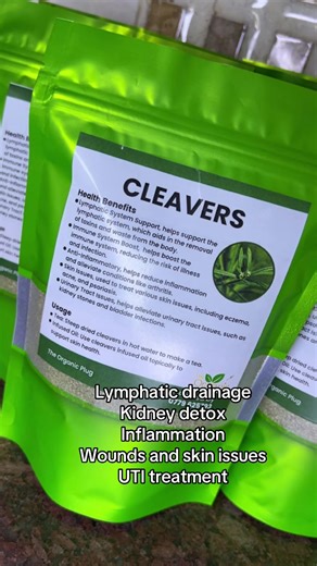 Benefits of Cleavers Herb for Lymphatic Health