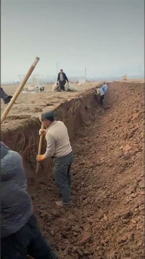 chinese street food #delicious #eat