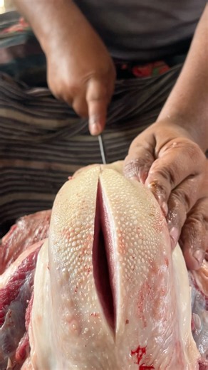 Best beef tongue meat cutting skills