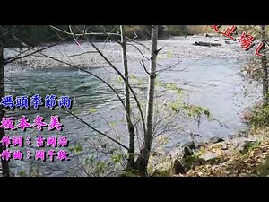 波止場しぐれ【坂本冬美】碼頭季節雨