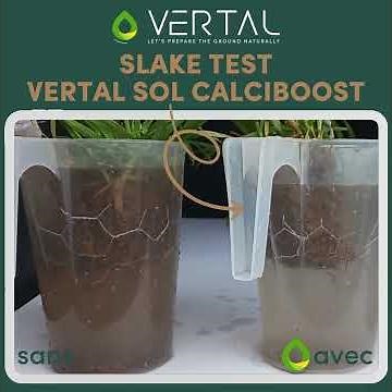 Slake Test VERTAL SOL MAGBOOST : la preuve en image son effet sur la structure du sol.