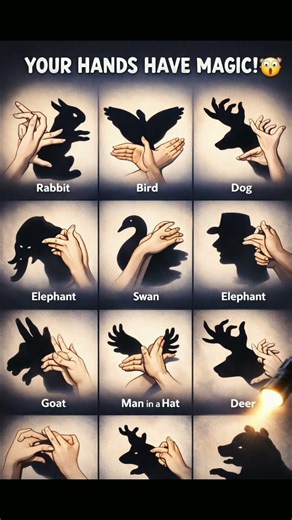 Amazing Hand Shadow Animals Magic | Hand Shadow Tricks #shorts