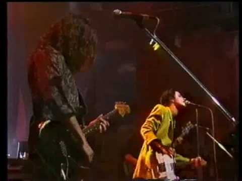 Baby Animals - Early Warning - Live 1991