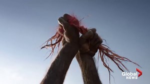 Disney releases first trailer for ‘The Lion King’ remake