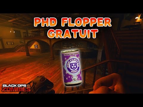 Le SECRET pour Obtenir PHD FLOPPER !