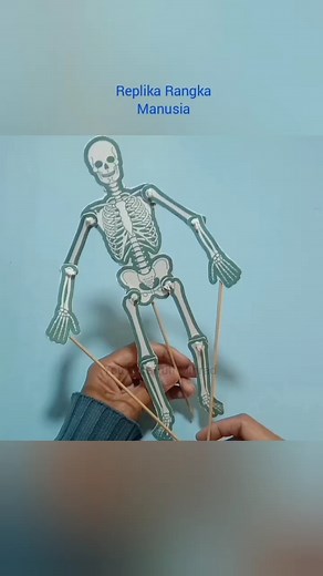 Replika Rangka Manusia - Cara Membuat Kerangka Manusia dari Kertas