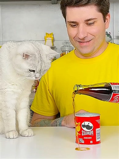 Cat Gets Brain Freeze 🥶🍦 #catsoftiktok #brainfreeze #funnyvideos #icecream #viral