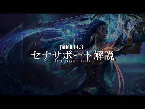 【patch14.3】🔰セナサポート初心者解説🔰