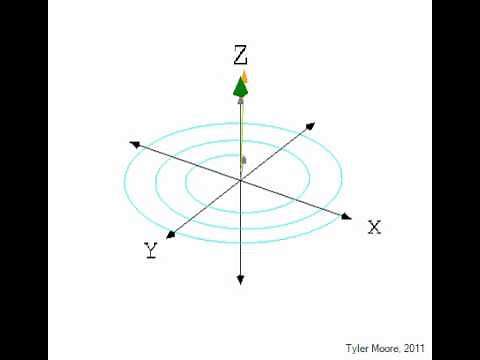 T1 Decay (expand the description below for a detailed explanation)