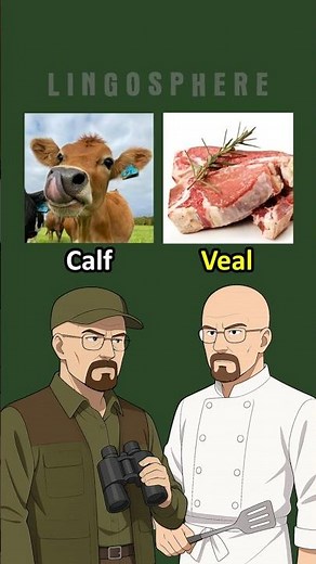 Learn English Food Vocabulary 🥩 | Animals and Meats with Pictures | English for Beginners