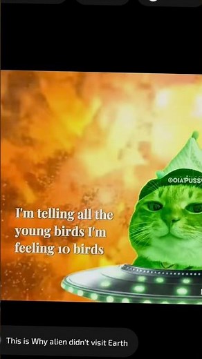 Alien Green Cat Sings Pretty Little Baby