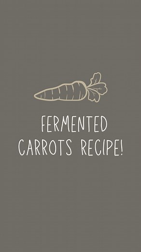 Fermented carrots are delicious, easy to make, plus all of the lovely probiotics are so great for our gut! Here’s how to make them 1) Set out clean jars (quart jars work best - the pint jars are a bit crowded!) 2) Peel and slice carrots into sticks 3) Stuff carrot sticks tightly into the jar, making sure there’s at least 2” of headspace 4) Add any extra flavorings (garlic clove, lemon slice, dill seed head, etc.!) 5) Mix a brine of 1/4 cup of unrefined sea salt to 1/2 gallon of filtered water 6)